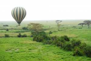 Tansania Urlaub Ballonfahrt, Safari, Nationalpark Serengeti, Tansania