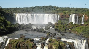 Natur und Tierwelt Foz do Iguacu