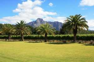 Südafrika Urlaub Franschhoek