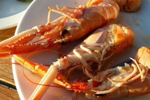 Dänemark Urlaub Lobster