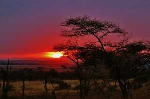 Tansania Urlaub