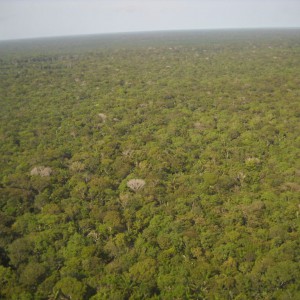Brasilien Urlaub Amazonas