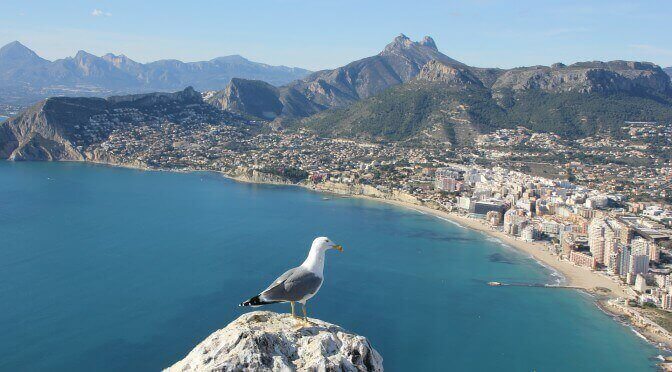 Spanien Urlaub Vogel Strand Berge